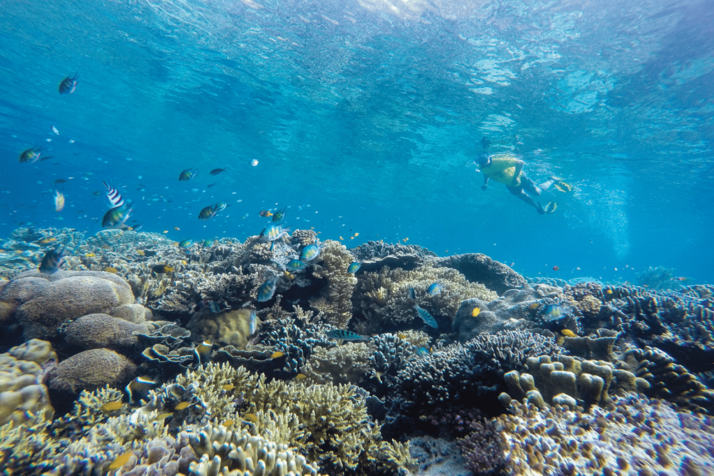 Kanawa Island (Waturandatrip.com) Manjarite IslandBest Time to Visit Labuan Bajo