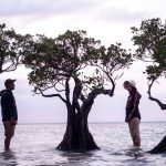 Visit Sumba in Walakiri Beach (Waturandatrip.com)