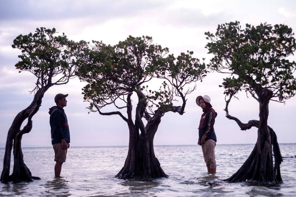 Visit Sumba in Walakiri Beach (Waturandatrip.com)