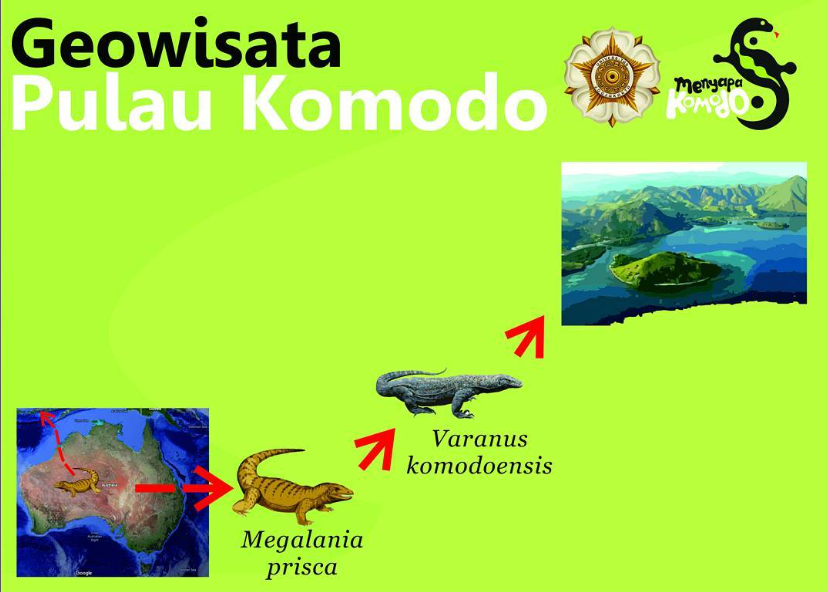 Migration of Komodo Dragon