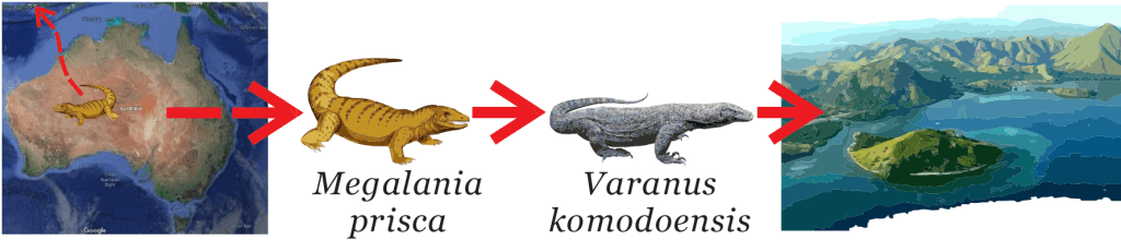 Komodo Dragon Animal History