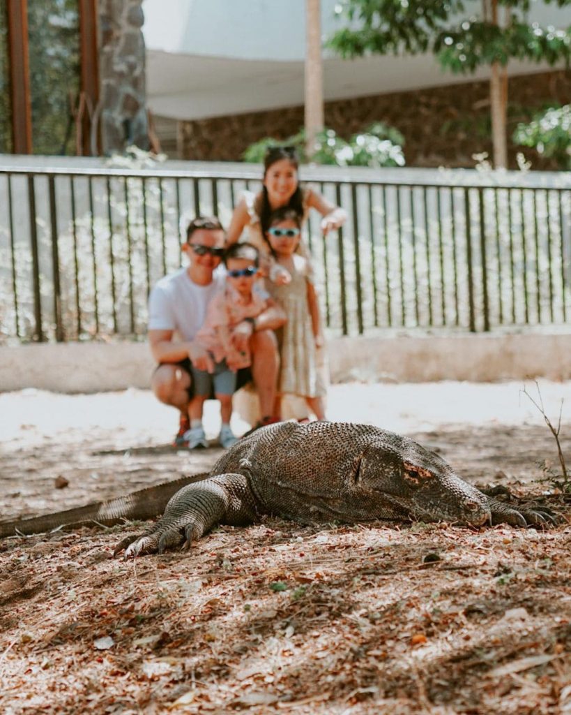 Private Trip Labuan Bajo Komodo Island Trip