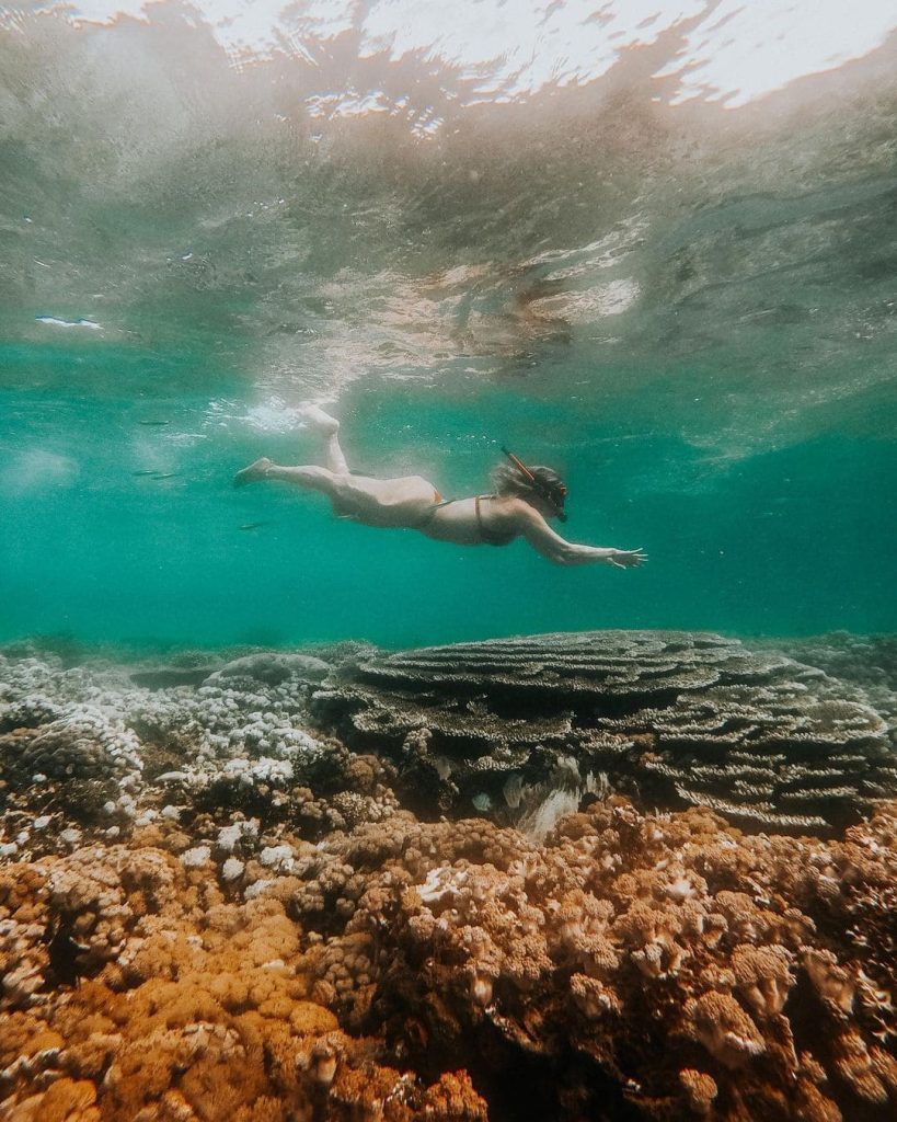 Labuan Bajo Snorkeling in Pink Beach Komodo National Park near Komodo Island Komodo Island Trip