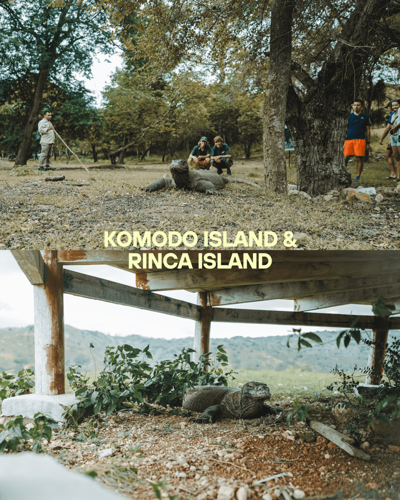 Private Trip Labuan Bajo