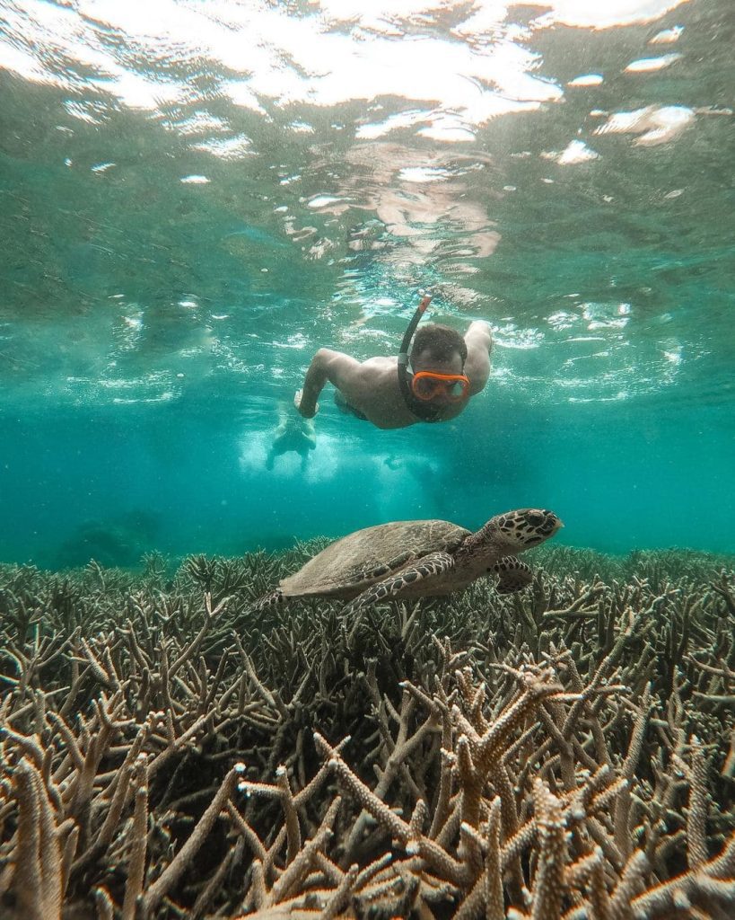 Snorkeling to Coral Reef in Komodo Island