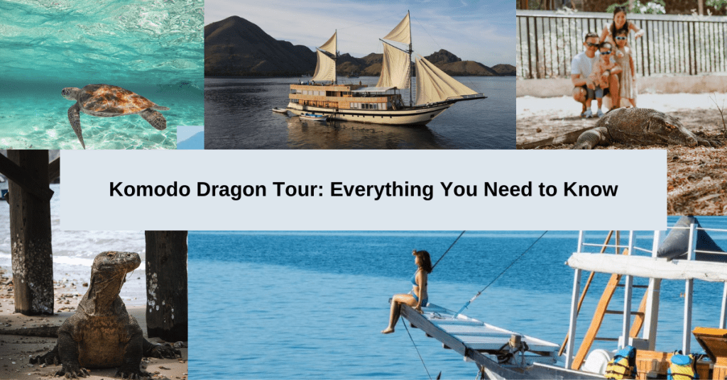 Komodo Dragon Tour