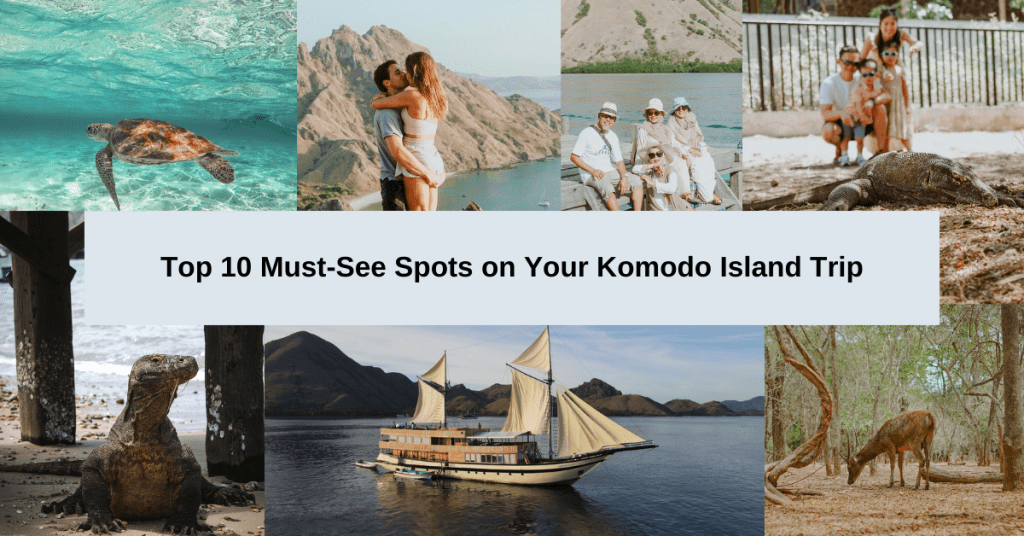 Komodo Island Trip
