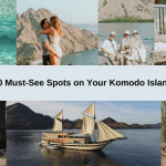 Komodo Island Trip