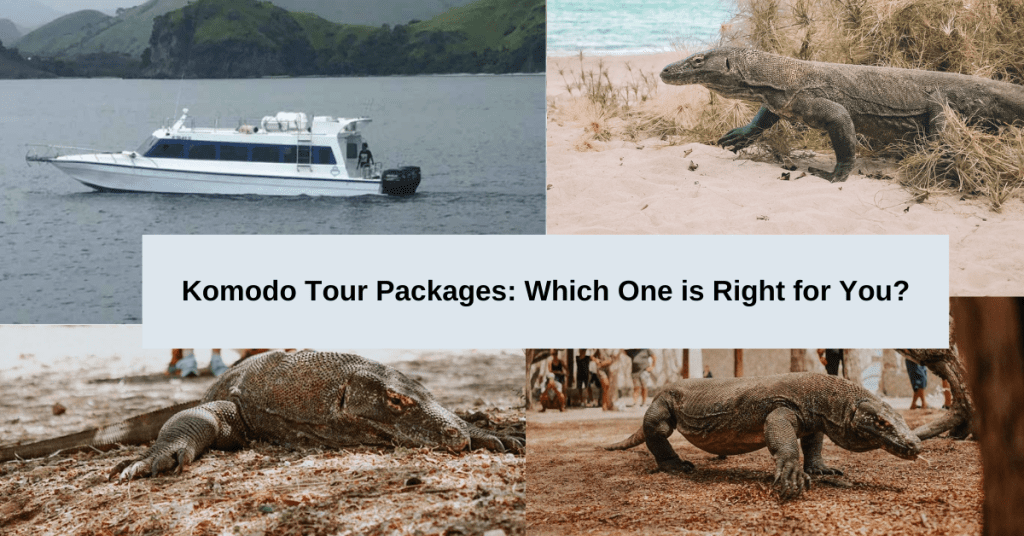 Komodo Tour