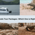 Komodo Tour