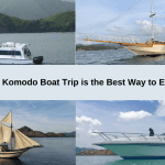 Why a Komodo Boat Trip is the Best Way to Explore