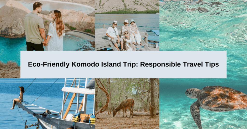 Komodo Island Trip