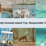 Komodo Island Trip