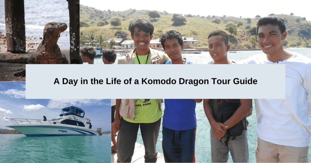 Komodo Dragon Tour