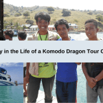 Komodo Dragon Tour