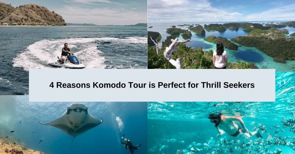 4 Reasons Komodo Tour is Perfect for Thrill Seekers