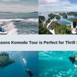 4 Reasons Komodo Tour is Perfect for Thrill Seekers