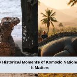 7 Best Key Historical Moments of Komodo National Park Why It Matters