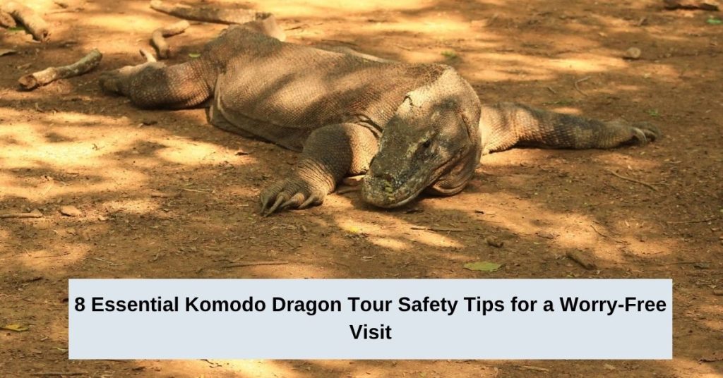 8 Essential Komodo Dragon Tour Safety Tips for a Worry-Free Visit