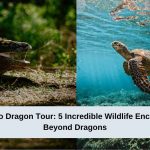Komodo Dragon Tour 5 Incredible Wildlife Encounters Beyond Dragons