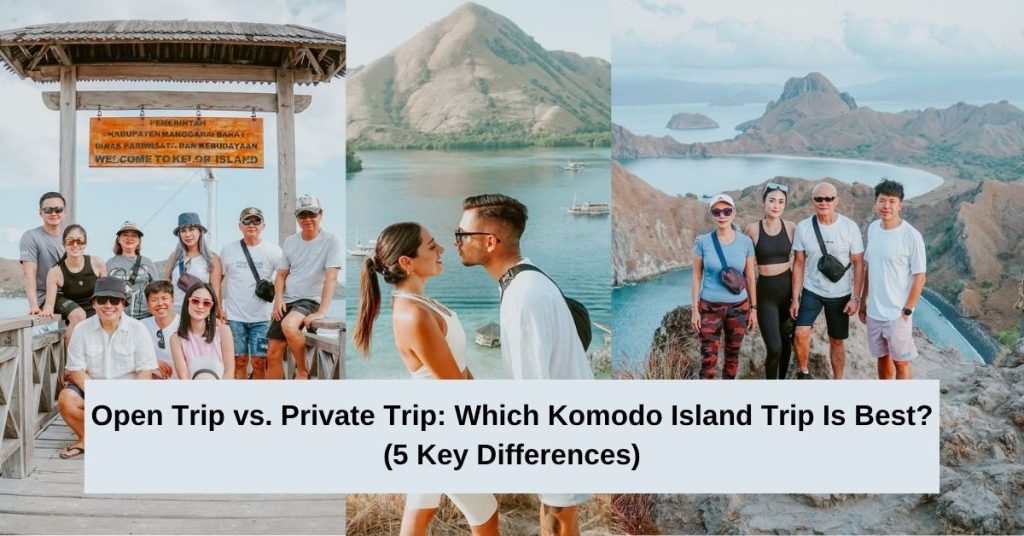 Open Trip vs. Private Trip Which Komodo Island Trip Is Best (5 Key Differences)