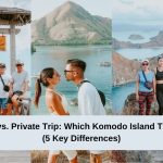 Open Trip vs. Private Trip Which Komodo Island Trip Is Best (5 Key Differences)