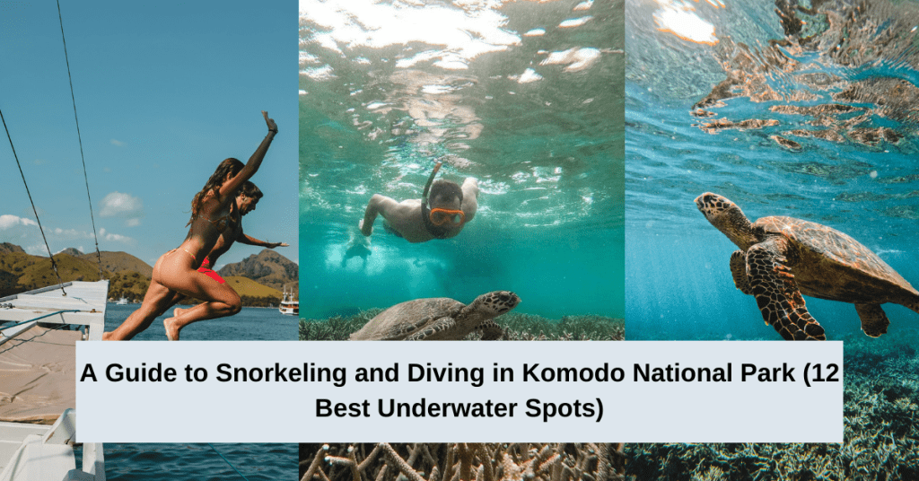 A Guide to Snorkeling and Diving in Komodo National Park (12 Best Underwater Spots)