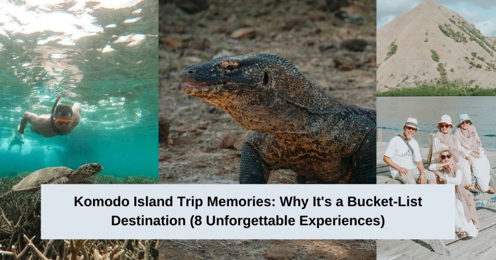 Komodo Island Trip Memories Why It's a Bucket-List Destination (8 Unforgettable Experiences)