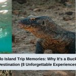 Komodo Island Trip Memories Why It's a Bucket-List Destination (8 Unforgettable Experiences)