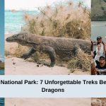 7 Best Photo Moments on Your Komodo Island Trip with Waturanda Trip-4-2
